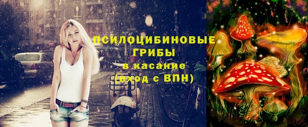 spice Алексеевка