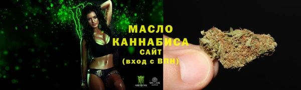 мдпв Козельск